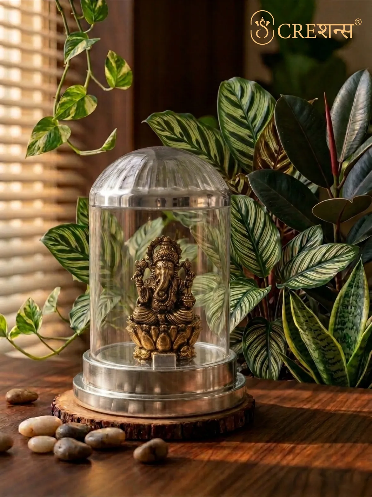Ganesh cloche among indoor plants on a wooden slab